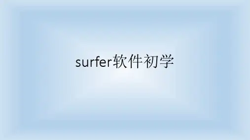 surfer软件初学