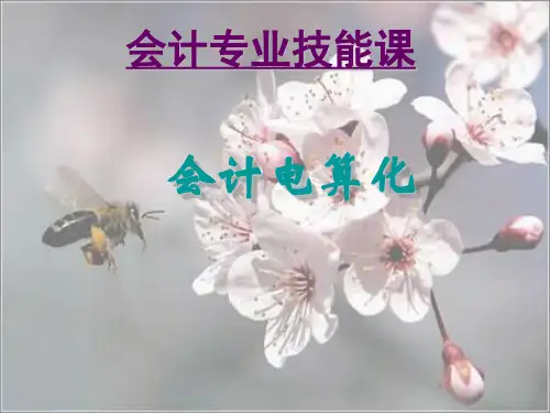 会计电算化第十二次课