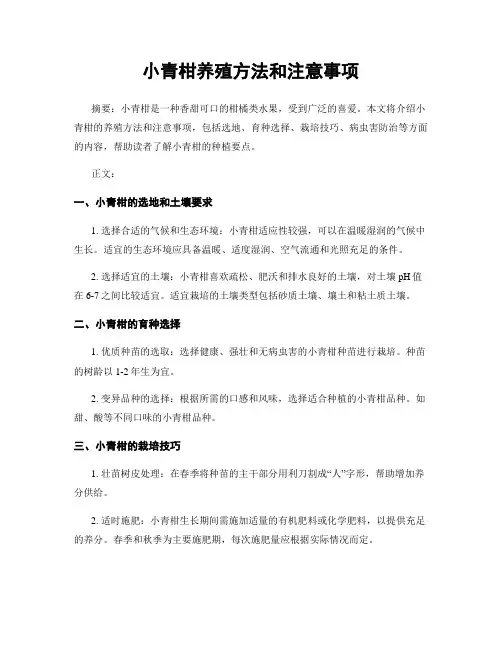 小青柑养殖方法和注意事项