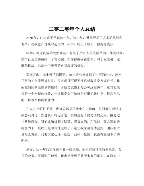 二零二零年个人总结