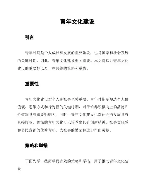 青年文化建设