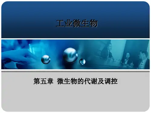 微生物的代谢及调控