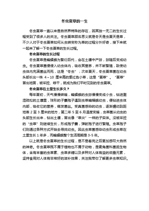 冬虫夏草的一生