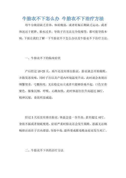 牛胎衣不下怎么办 牛胎衣不下治疗方法