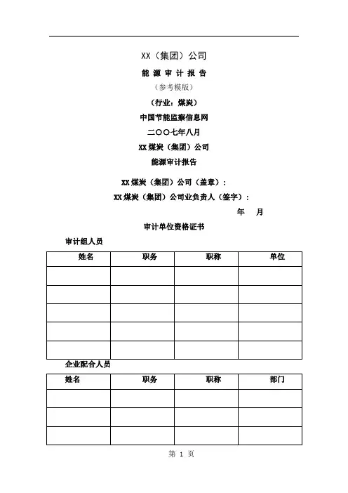 XX(集团)公司(煤炭)能源审计报告43页word