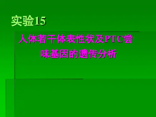 人类体表性状及PTC味盲基因的遗传分析解读