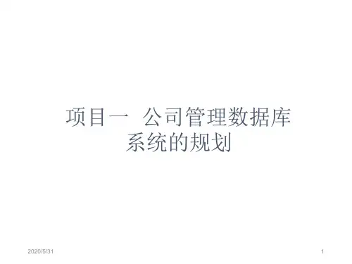 项目一公司管理数据库系统的规划-精品