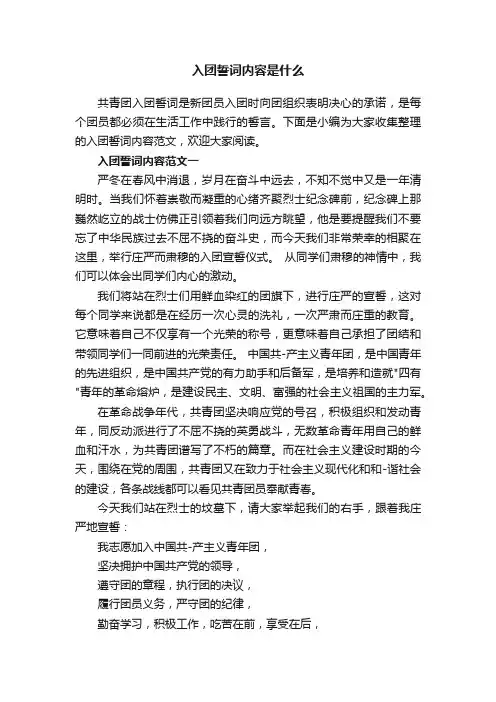 入团誓词内容是什么