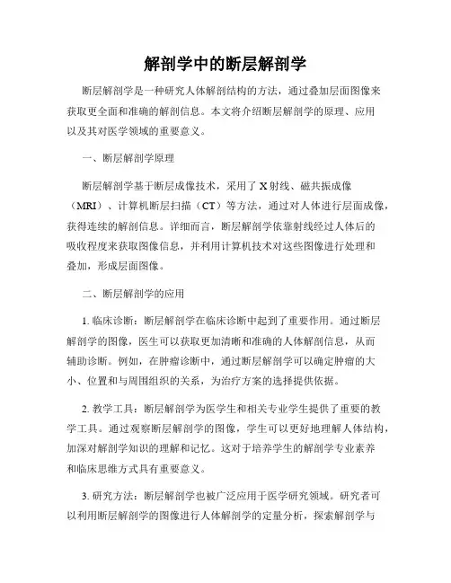 解剖学中的断层解剖学