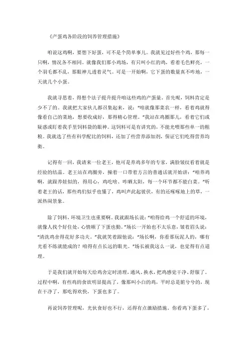 产蛋鸡各阶段的饲养管理措施