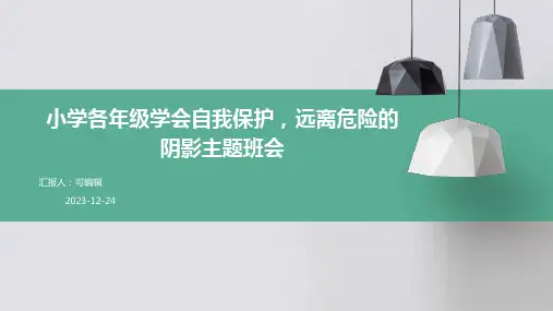 小学各年级, 学会自我保护,远离危险的阴影,主题班会ppt
