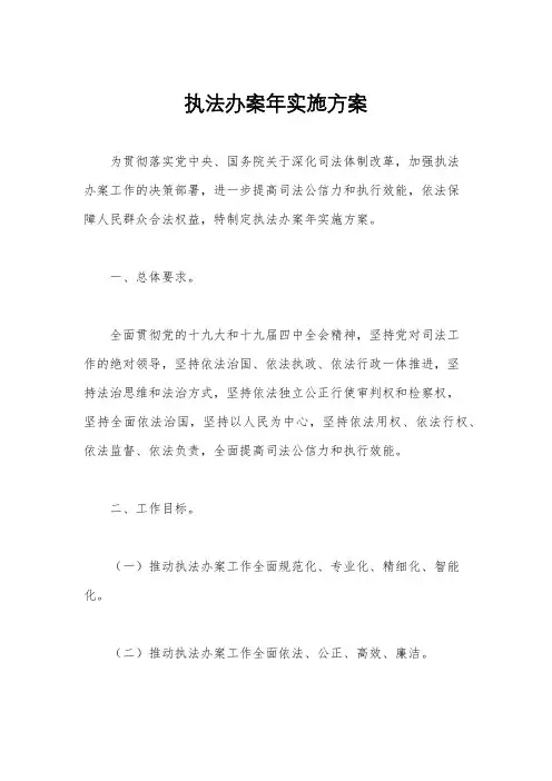 执法办案年实施方案