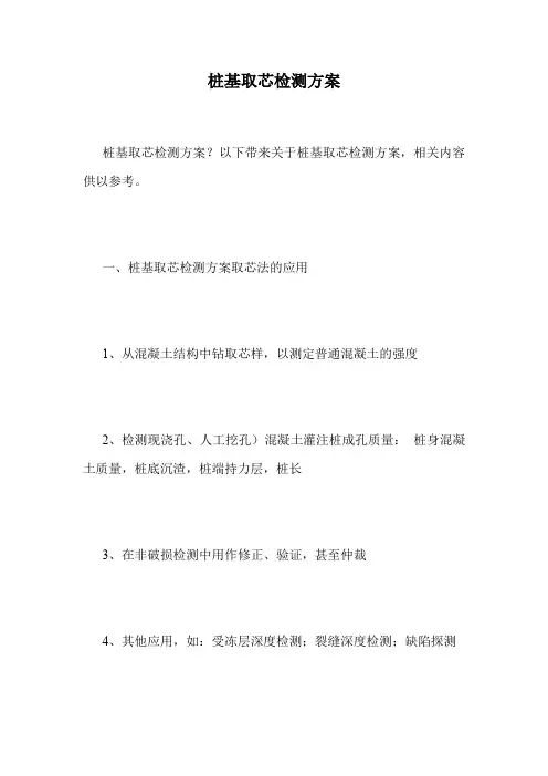 桩基取芯检测方案.doc