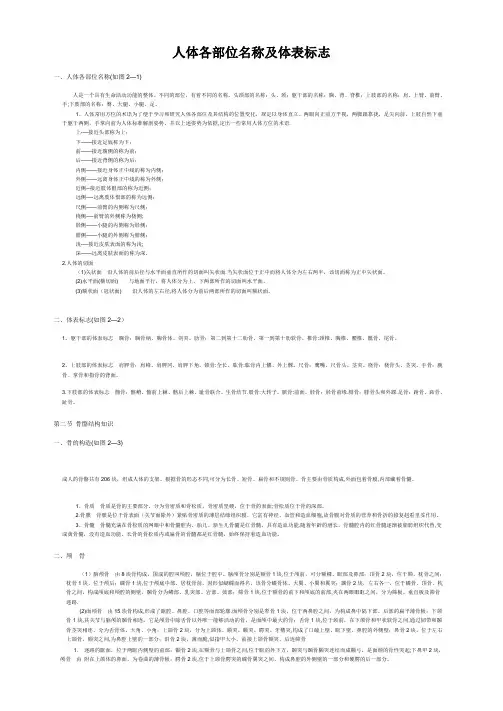 人体各部位名称及体表标志