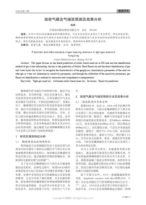 致密气藏含气储层预测及效果分析