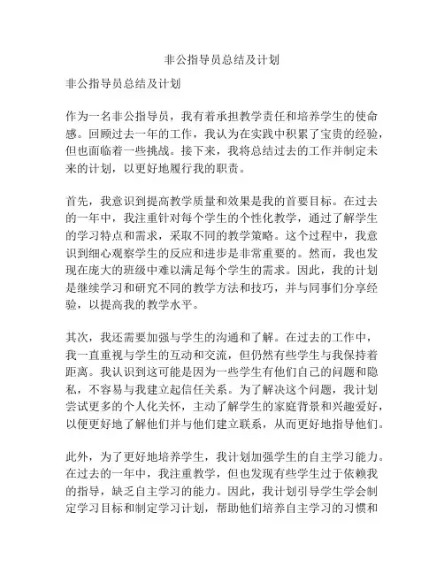 非公指导员总结及计划
