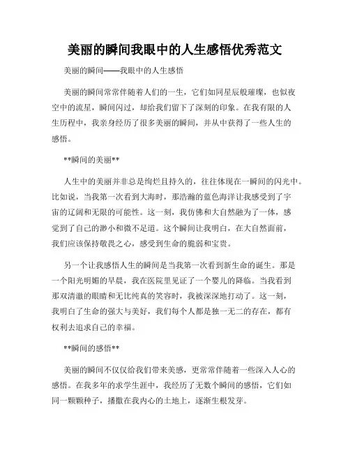美丽的瞬间我眼中的人生感悟优秀范文