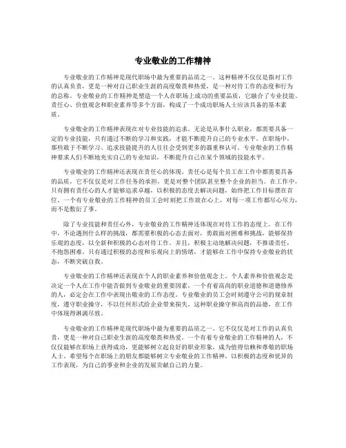 专业敬业的工作精神