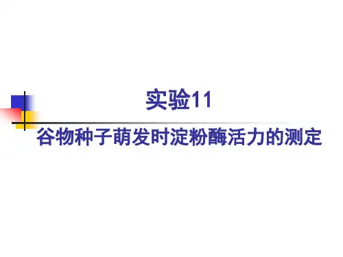 实验10-谷物种子萌发时淀粉酶活力的测定