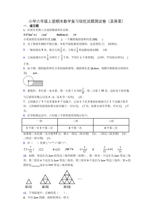 小学六年级上册期末数学复习培优试题测试卷(及答案)
