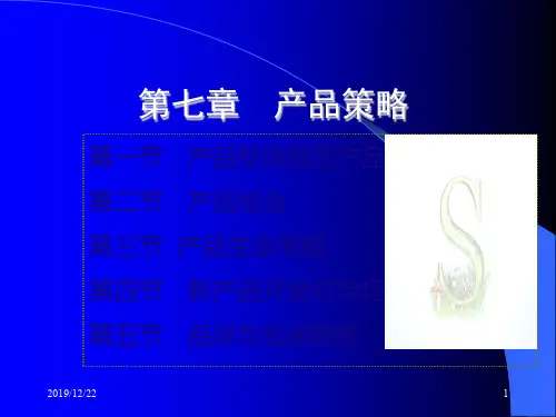产品策略课件