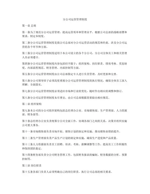 分公司运营管理制度