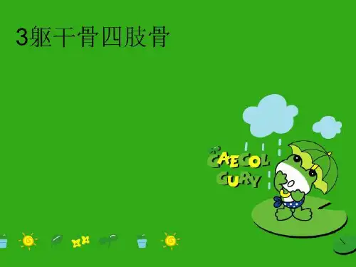 【精品】3躯干骨四肢骨PPT课件