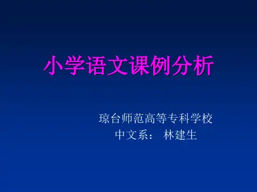《小学语文案例分析》PPT课件