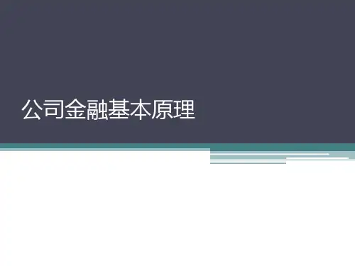 公司金融的基本原理教学ppt