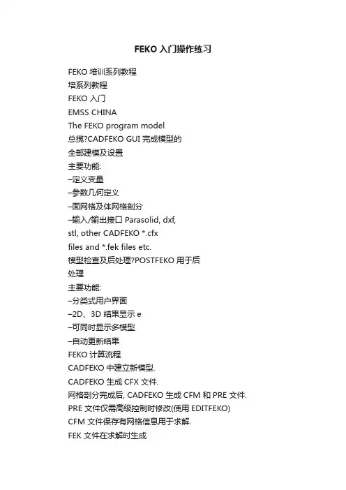 FEKO入门操作练习