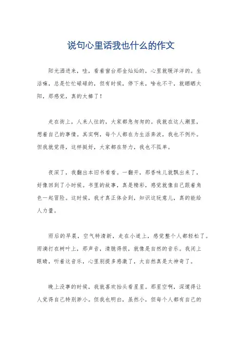 说句心里话我也什么的作文