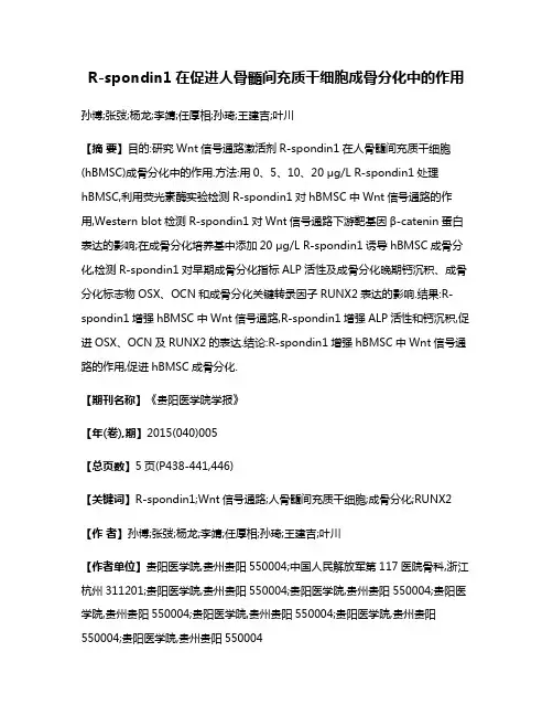 R-spondin1在促进人骨髓间充质干细胞成骨分化中的作用