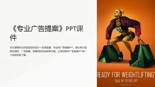 《专业广告提案》课件