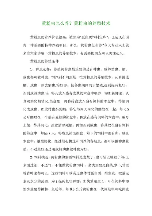 黄粉虫怎么养？黄粉虫的养殖技术