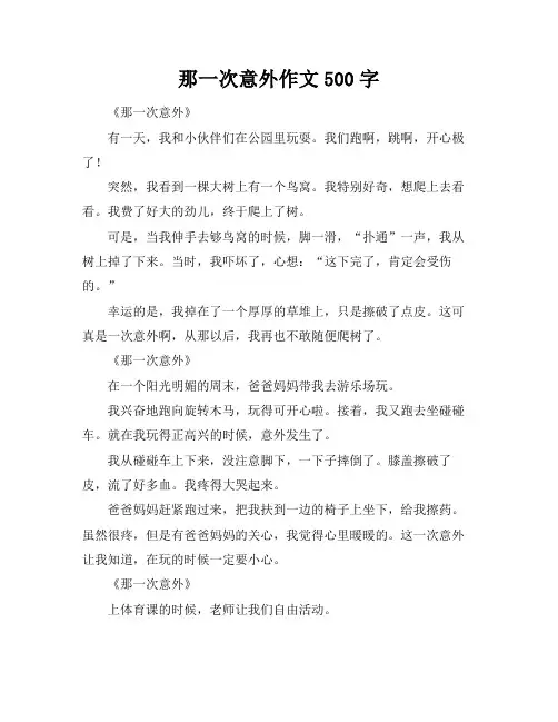那一次意外作文500字