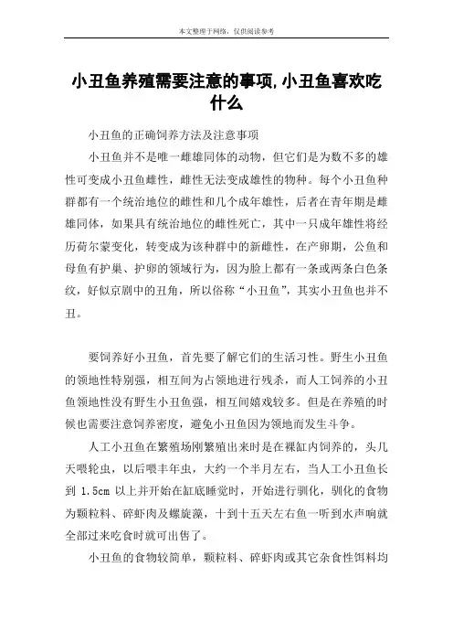 小丑鱼养殖需要注意的事项,小丑鱼喜欢吃什么