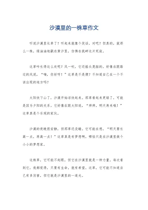 沙漠里的一株草作文
