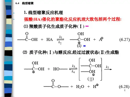 线型缩聚反应机理与动力学方程