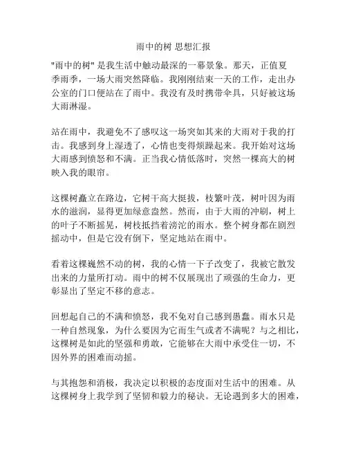 雨中的树 思想汇报