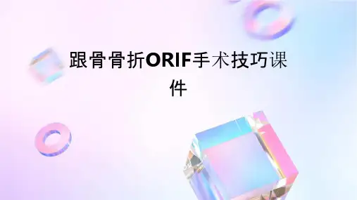 跟骨骨折ORIF的技巧课件
