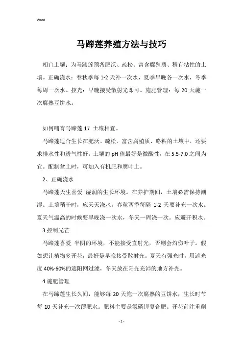 马蹄莲养殖方法与技巧
