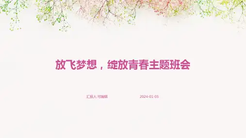 放飞梦想,绽放青春主题班会