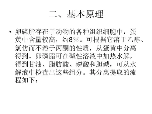 实验十三卵磷脂的提取及其组成鉴定
