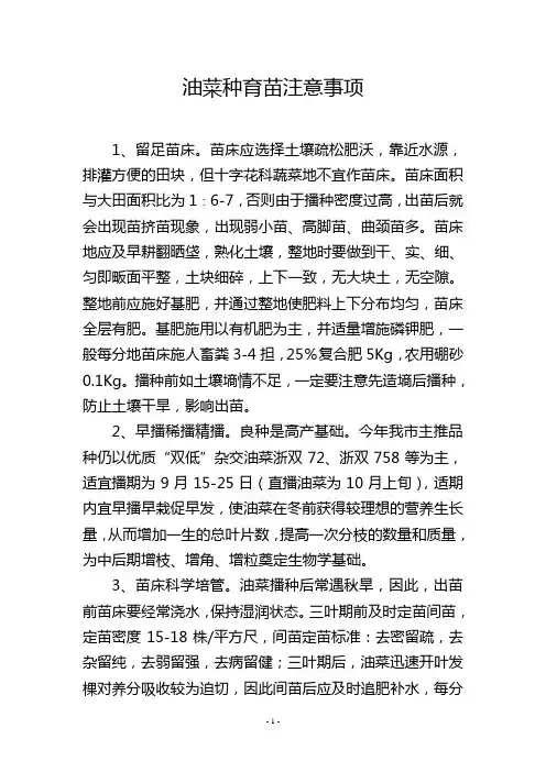油菜种育苗注意事项