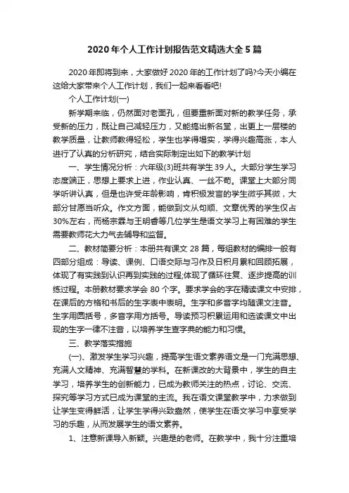 2020年个人工作计划报告范文精选大全5篇