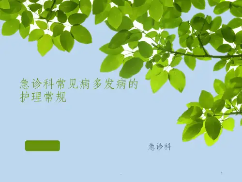 各种常见病的护理