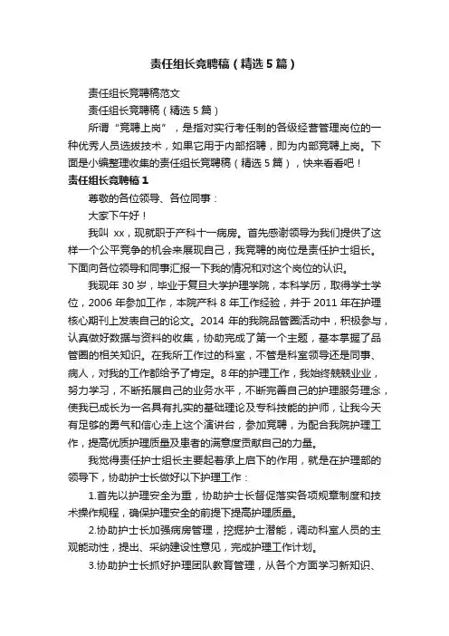 责任组长竞聘稿（精选5篇）