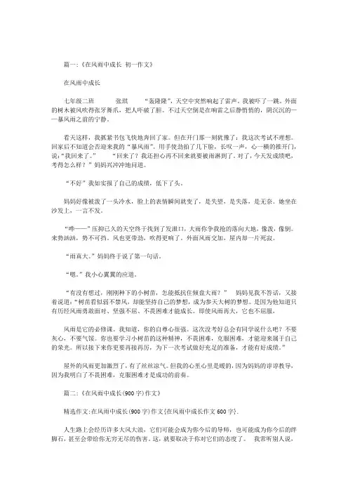 在风雨中成长作文600字
