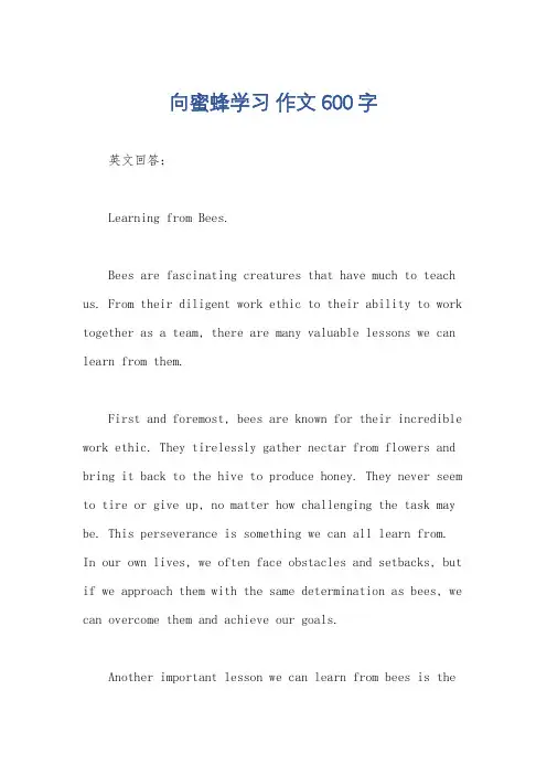向蜜蜂学习 作文600字
