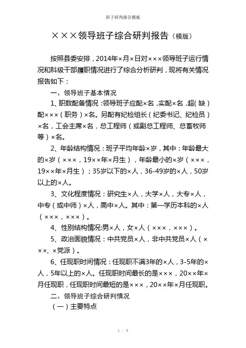班子研判报告参考模板
